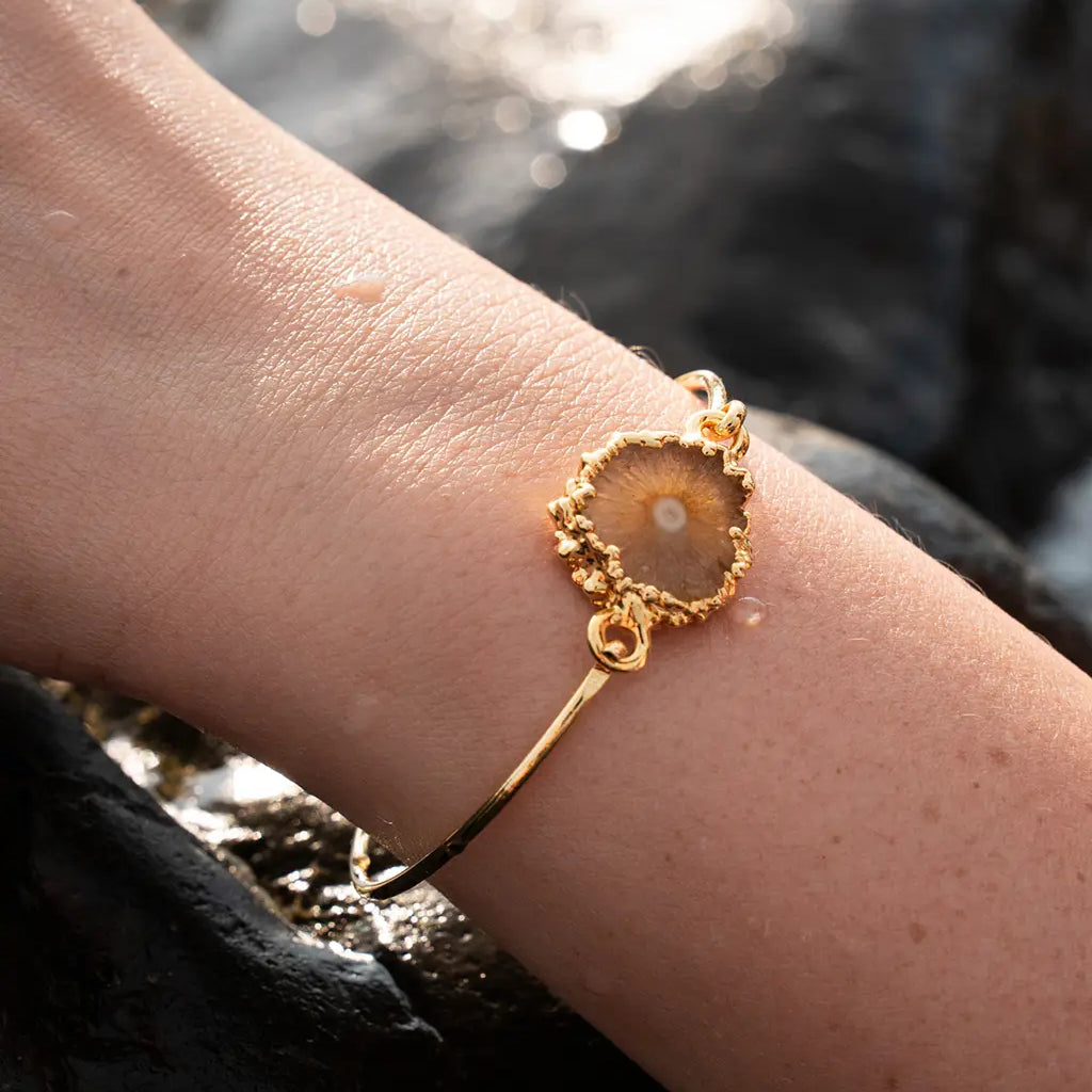Ella Dawn Solar Agate Bracelet For Women