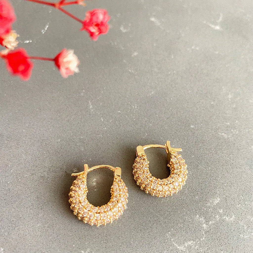 Hoops-with-Cubic-Zirconia-earrings-gift
